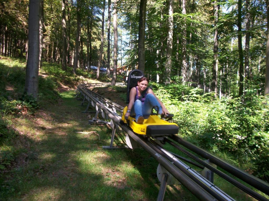 Hotel Garni Haus Sonneneck Thale Eksteriør billede